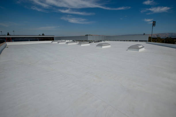 Best Sheet Metal Roofing  in Montebello, NY